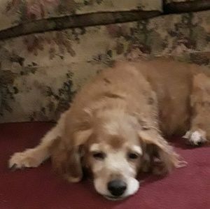 Meet your Posher, Hailey